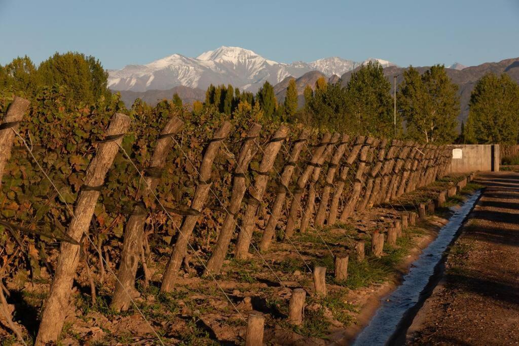 Bodega Durigutti Family Winemakers Villa Las Compuertas Luaran gambar