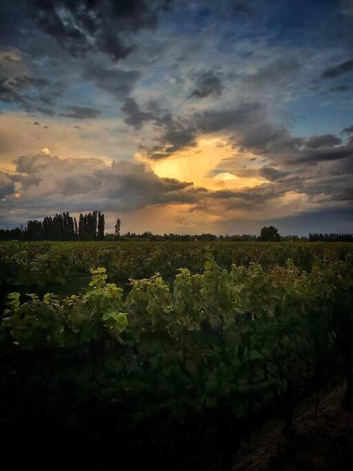 Bodega Durigutti Family Winemakers Villa Las Compuertas Luaran gambar